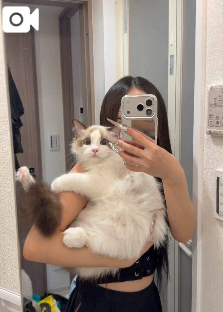 いまここに