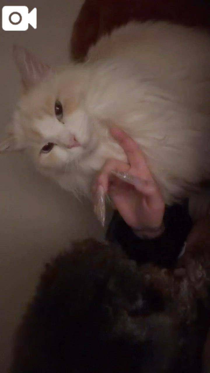 🎀