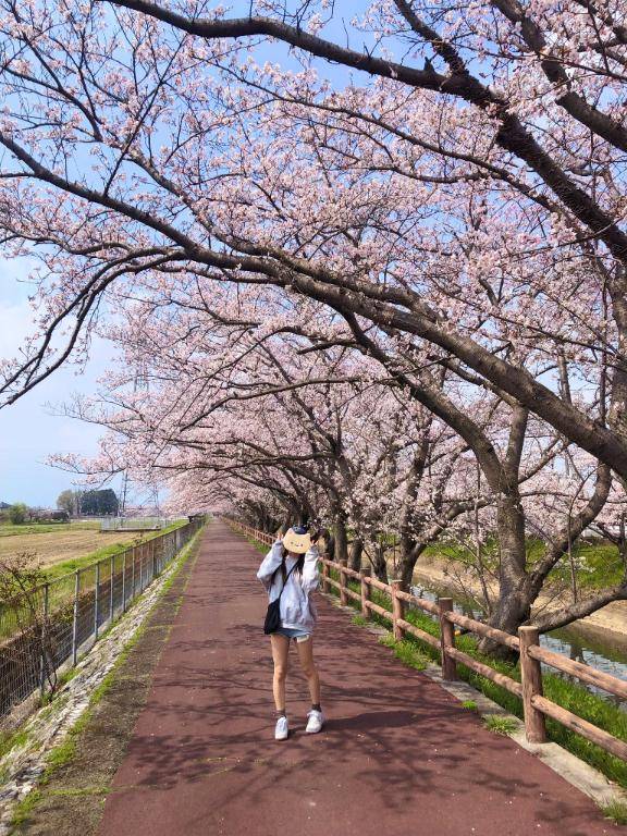 🌙お花見ギリギリいけました🌸