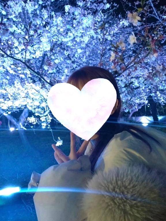 🌙夜桜バージョン！💌