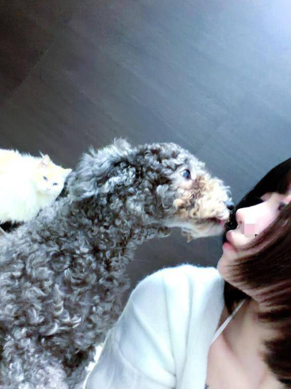 🦋