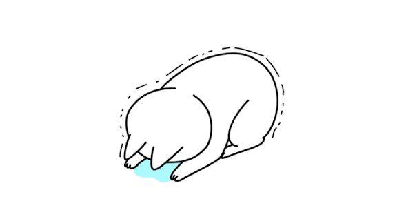 当然は聞いてない
