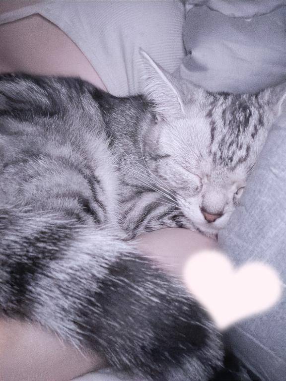 癒したいむ🐈‍⬛