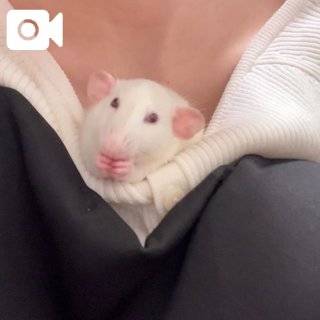 お胸の中が大好き🥰