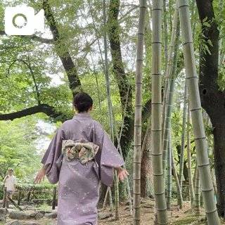 夏の朝