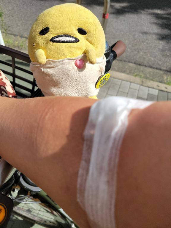 今日はお休みです