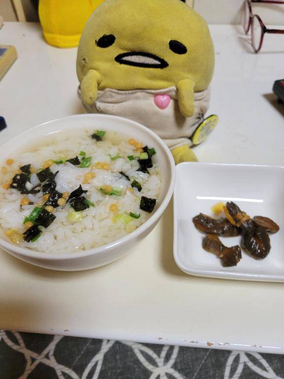 今日はお休みです