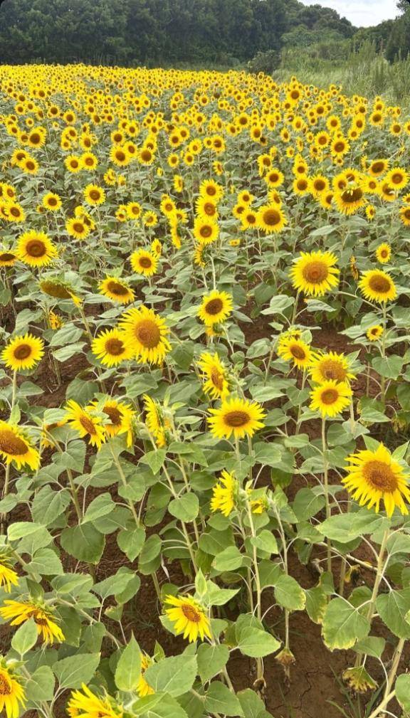 おはようございます☀️