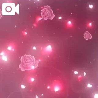 スシロー