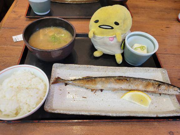 今日はお休みです