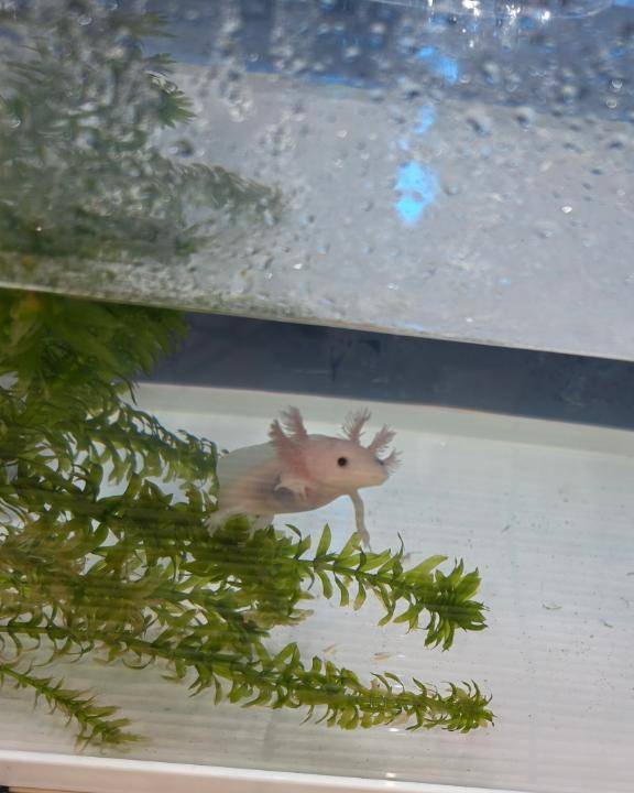 昨日見つけたよ😊