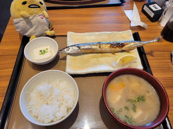 今日はお休みです
