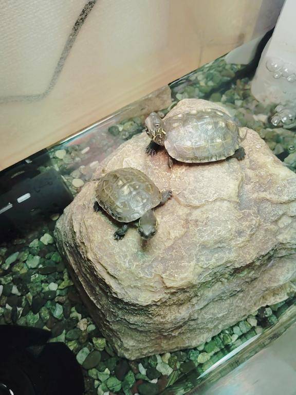 2人の世界