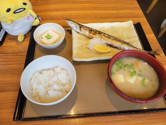 今日はお休みです