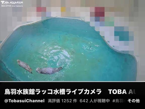 ありがとうございます