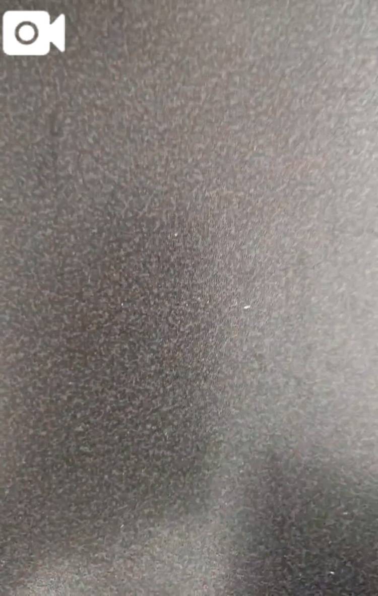 旅行先
