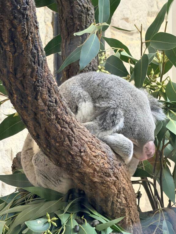 の〜んびり