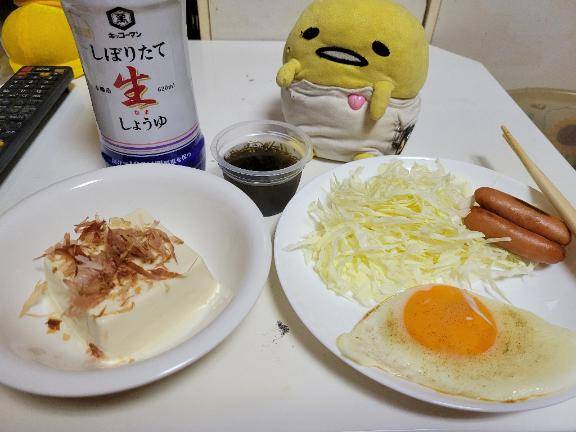 今日はお休みです