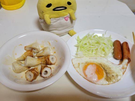 今日はお休みです