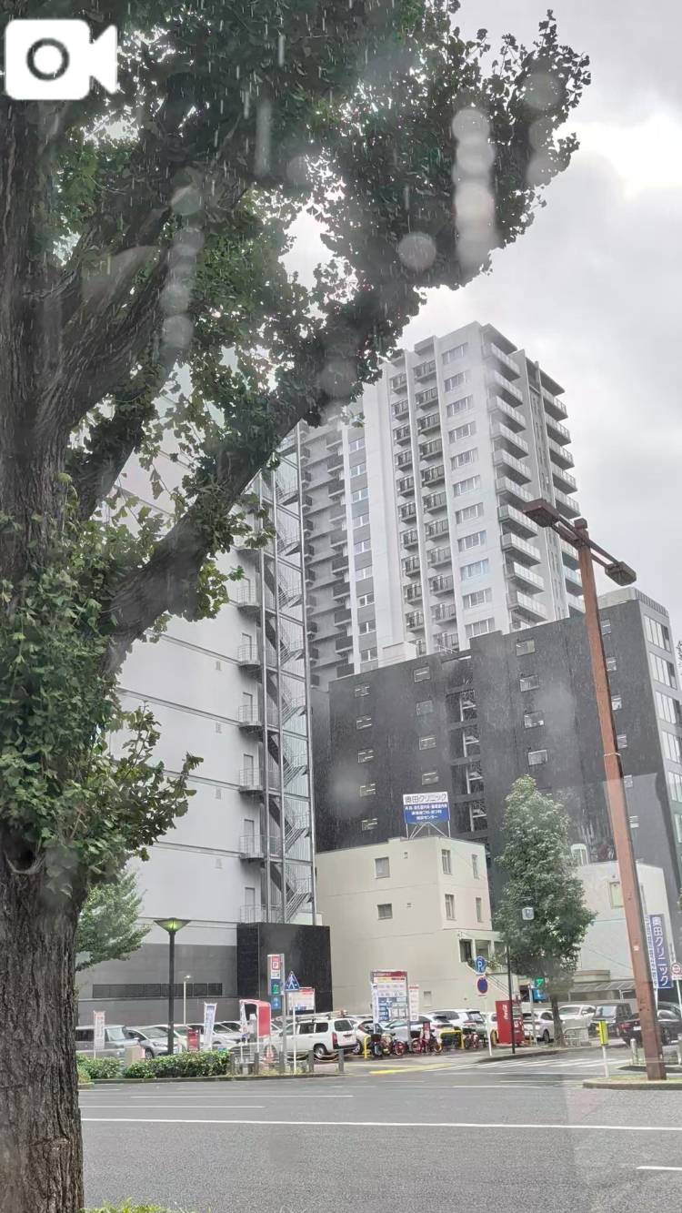 秋の雨。