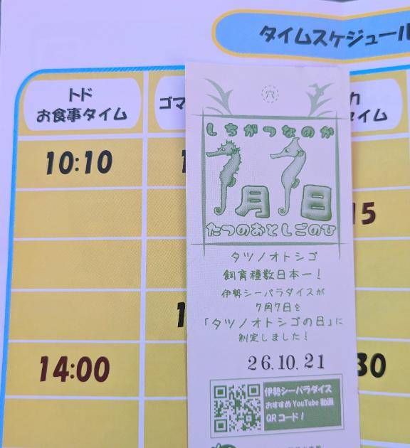 シーパラダイス