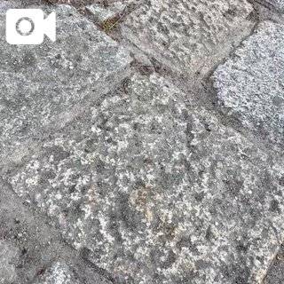 雫時間です　仲良くしてね