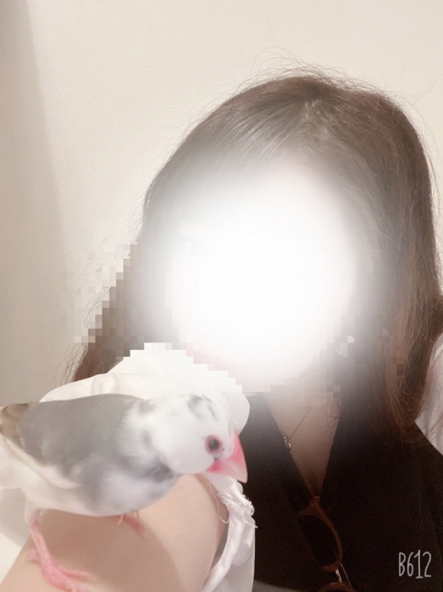 なつち（大高・大府市・東海市ちゃんこ）